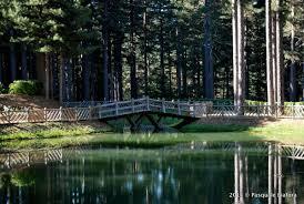 Centro Visita Antonio Garcea